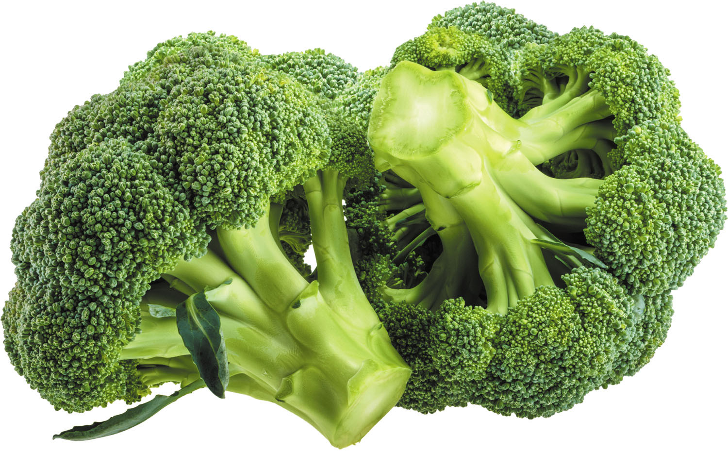 Broccoli-Viralposts