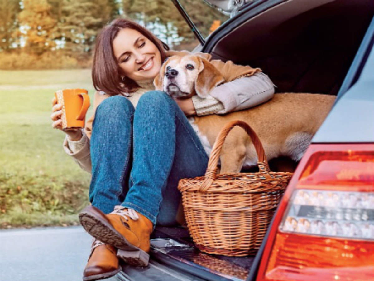 Take pets on trips with your car