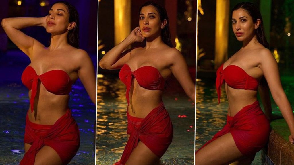 Sophie Choudry Bold