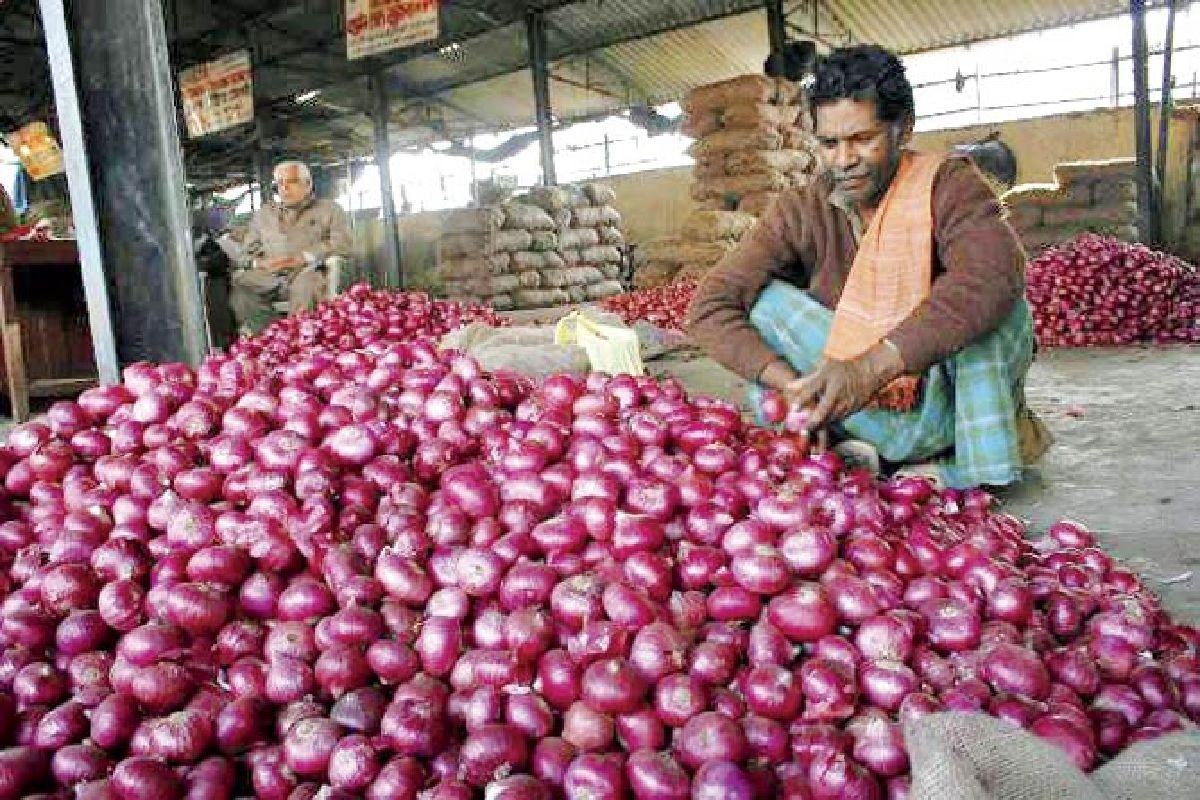 Onion Price 