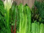 leafy vegetables